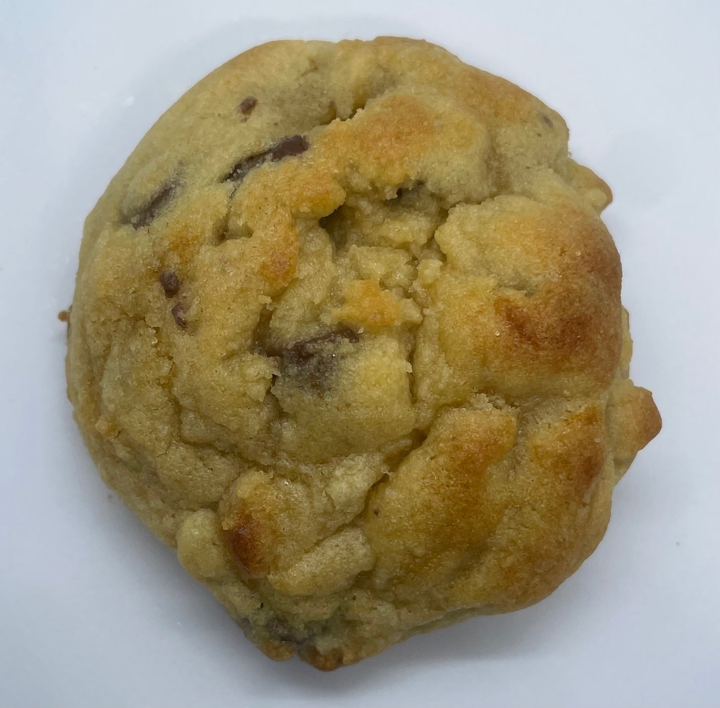 Chocolate Chip