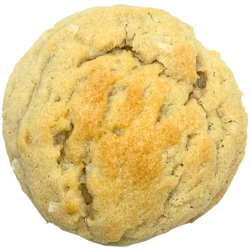 Coconut Cookie